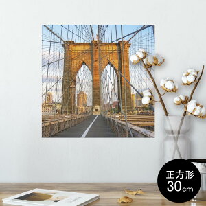 |X^[ EH[XebJ[ V[XebJ[  30×30cm Ssize `  CeA @ wall sticker poster 010803 O@i@ʐ^