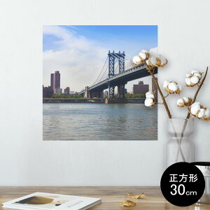 |X^[ EH[XebJ[ V[XebJ[  30×30cm Ssize `  CeA @ wall sticker poster 010804 O@i@ʐ^