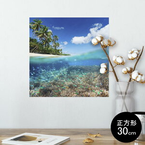 |X^[ EH[XebJ[ V[XebJ[  30×30cm Ssize `  CeA @ wall sticker poster 010843 C@l@ʐ^