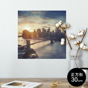 |X^[ EH[XebJ[ V[XebJ[  30×30cm Ssize `  CeA @ wall sticker poster 010896 i@ʐ^@[