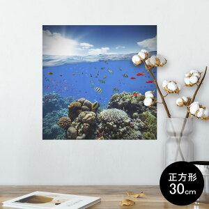 |X^[ EH[XebJ[ V[XebJ[  30×30cm Ssize `  CeA @ wall sticker poster 010920 C@@ʐ^