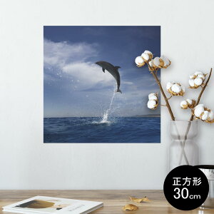 |X^[ EH[XebJ[ V[XebJ[  30×30cm Ssize `  CeA @ wall sticker poster 010965 C@CJ@ʐ^