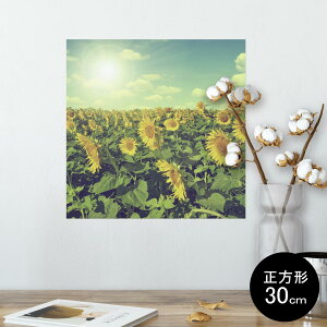 |X^[ EH[XebJ[ V[XebJ[  30×30cm Ssize `  CeA @ wall sticker poster 011053 ԁ@Ђ܂@