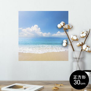 |X^[ EH[XebJ[ V[XebJ[  30×30cm Ssize `  CeA @ wall sticker poster 011085 C@r[`@ʐ^
