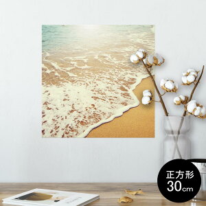 |X^[ EH[XebJ[ V[XebJ[  30×30cm Ssize `  CeA @ wall sticker poster 011086 C@r[`@ʐ^