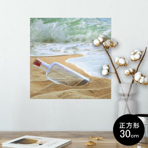 |X^[ EH[XebJ[ V[XebJ[  30×30cm Ssize `  CeA @ wall sticker poster 011091 C@r[`@ʐ^