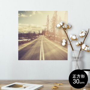 |X^[ EH[XebJ[ V[XebJ[  30×30cm Ssize `  CeA @ wall sticker poster 011287 ʐ^@i@