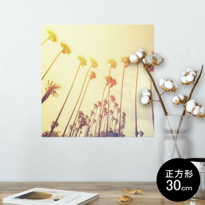 |X^[ EH[XebJ[ V[XebJ[  30×30cm Ssize `  CeA @ wall sticker poster 011327 ā@V̖؁@[
