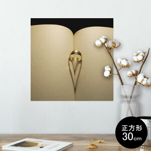 |X^[ EH[XebJ[ V[XebJ[  30×30cm Ssize `  CeA @ wall sticker poster 011441 wց@e@ʐ^