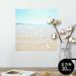 |X^[ EH[XebJ[ V[XebJ[  30×30cm Ssize `  CeA @ wall sticker poster 011670 C@l@ʐ^