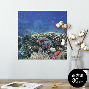 |X^[ EH[XebJ[ V[XebJ[  30×30cm Ssize `  CeA @ wall sticker poster 011697 C@X@ʐ^