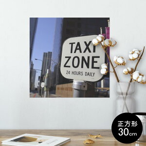 |X^[ EH[XebJ[ V[XebJ[  30×30cm Ssize `  CeA @ wall sticker poster 011792 O@ʐ^@i