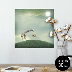 �|�X�^�[ �E�H�[���X�e�b�J�[ �V�[�����X�e�b�J�[ ���� 30×30cm Ssize �����` �� �C���e���A �������@�������� wall sticker poster 012289 �����@�i�F�@��