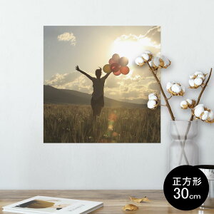 ポスター ウォールステッカー シール式ステッカー 飾り 30×30cm Ssize 正方形 壁 インテリア おしゃれ 剥がせる wall sticker poster 012619 風船 写真 風景