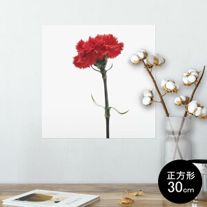 |X^[ EH[XebJ[ V[XebJ[  30×30cm Ssize `  CeA @ wall sticker poster 012928 ̓@J[l[V@