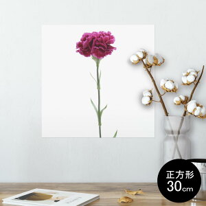 |X^[ EH[XebJ[ V[XebJ[  30×30cm Ssize `  CeA @ wall sticker poster 012933 ̓@J[l[V@