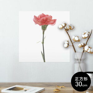 |X^[ EH[XebJ[ V[XebJ[  30×30cm Ssize `  CeA @ wall sticker poster 012935 ̓@J[l[V@