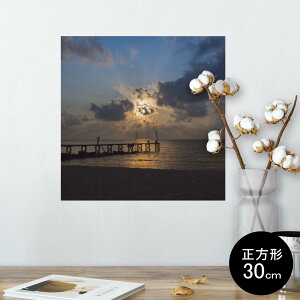 |X^[ EH[XebJ[ V[XebJ[  30×30cm Ssize `  CeA @ wall sticker poster 013534 ʐ^@C@