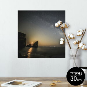 |X^[ EH[XebJ[ V[XebJ[  30×30cm Ssize `  CeA @ wall sticker poster 014283 i@@ʐ^