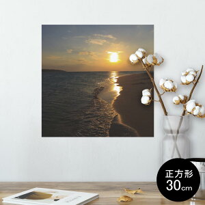 |X^[ EH[XebJ[ V[XebJ[  30×30cm Ssize `  CeA @ wall sticker poster 014467 C@[@ʐ^