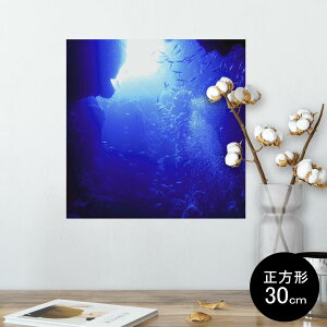 |X^[ EH[XebJ[ V[XebJ[  30×30cm Ssize `  CeA @ wall sticker poster 014468 C@[C@ʐ^