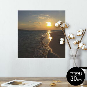 |X^[ EH[XebJ[ V[XebJ[  30×30cm Ssize `  CeA @ wall sticker poster 014558 C@lӁ@ʐ^