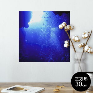 |X^[ EH[XebJ[ V[XebJ[  30×30cm Ssize `  CeA @ wall sticker poster 014561 C@[C@ʐ^