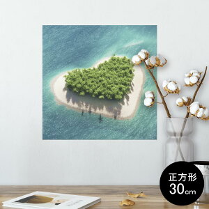 |X^[ EH[XebJ[ V[XebJ[  30×30cm Ssize `  CeA @ wall sticker poster 014659 ʐ^@n[g@C