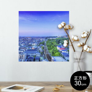 |X^[ EH[XebJ[ V[XebJ[  30×30cm Ssize `  CeA @ wall sticker poster 014667 i@iF@