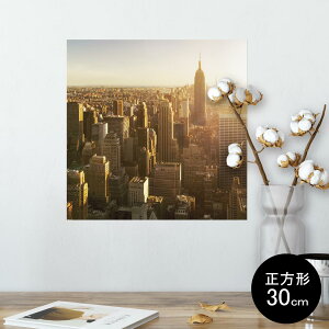 |X^[ EH[XebJ[ V[XebJ[  30×30cm Ssize `  CeA @ wall sticker poster 014737 i@iF@ʐ^