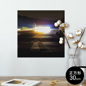 |X^[ EH[XebJ[ V[XebJ[  30×30cm Ssize `  CeA @ wall sticker poster 014961 i@R@wi@@[