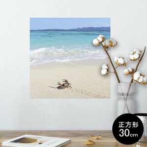 |X^[ EH[XebJ[ V[XebJ[  30×30cm Ssize `  CeA @ wall sticker poster 014963 i@R@wi@C@C