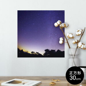 |X^[ EH[XebJ[ V[XebJ[  30×30cm Ssize `  CeA @ wall sticker poster 014964 i@R@wi@