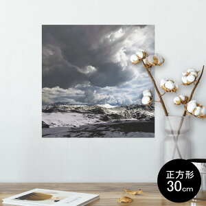 |X^[ EH[XebJ[ V[XebJ[  30×30cm Ssize `  CeA @ wall sticker poster 014982 R@iF@i@R@