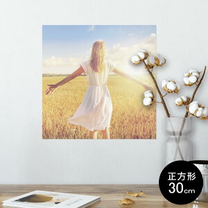 |X^[ EH[XebJ[ V[XebJ[  30×30cm Ssize `  CeA @ wall sticker poster 014983 l@̎q@iF@i