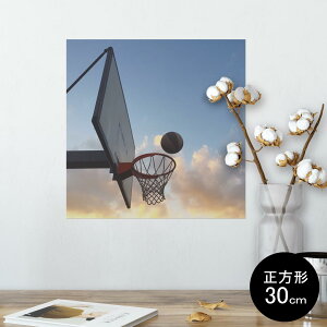 |X^[ EH[XebJ[ V[XebJ[  30×30cm Ssize `  CeA @ wall sticker poster 014985 i@ʐ^@oXPbg{[@^