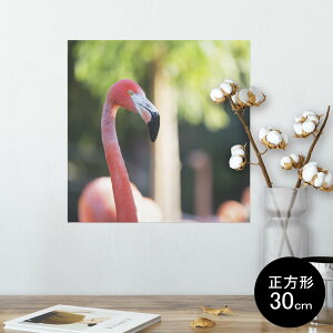 |X^[ EH[XebJ[ V[XebJ[  30×30cm Ssize `  CeA @ wall sticker poster 014986 i@ʐ^@@t~S@
