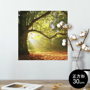 |X^[ EH[XebJ[ V[XebJ[  30×30cm Ssize `  CeA @ wall sticker poster 014991 iF@R@i@ʐ^@؁@