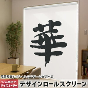 1cm�P�ʃT�C�Y�I�[�_�[ ���[���X�N���[�� ���[���J�[�e�� �I�[�_�[���C�h �^�`�J�� ���{�� �Ԏd�؂� �J�[�e�� �̌� ��Ռ� �ډB�� UV�J�b�g �J�[�e�����[�� �`�F�[���� �v���� 001686 ���{��E