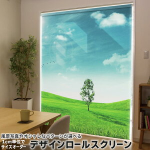 1cmPʃTCYI[_[ [XN[ [J[e I[_[Ch ^`J { Ԏd؂ J[e ̌ Ռ ډB UVJbg J[e[ `F[ v 002526 ʐ^E