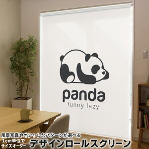 1cmPʃTCYI[_[ [XN[ [J[e I[_[Ch ^`J { Ԏd؂ J[e ̌ Ռ ډB UVJbg J[e[ `F[ v 033441 p_ 