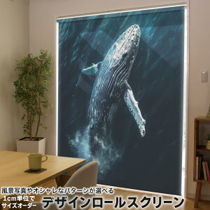 1cmPʃTCYI[_[ [XN[ [J[e I[_[Ch ^`J { Ԏd؂ J[e ̌ Ռ ډB UVJbg J[e[ `F[ v 033565 NW C