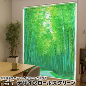 1cmPʃTCYI[_[ [XN[ [J[e I[_[Ch ^`J { Ԏd؂ J[e ̌ Ռ ډB UVJbg J[e[ `F[ v 033740 | a