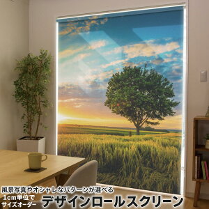 1cm�P�ʃT�C�Y�I�[�_�[ ���[���X�N���[�� ���[���J�[�e�� �I�[�_�[���C�h �^�`�J�� ���{�� �Ԏd�؂� �J�[�e�� �̌� ��Ռ� �ډB�� UV�J�b�g �J�[�e�����[�� �`�F�[���� �v���� 033859 �����@��