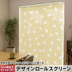 1cmPʃTCYI[_[ [XN[ [J[e I[_[Ch ^`J { Ԏd؂ J[e ̌ Ռ ډB UVJbg J[e[ `F[ v 050465