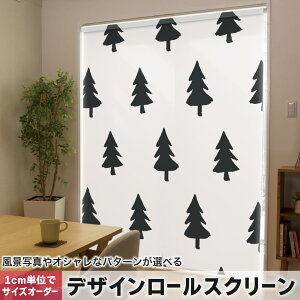 1cmPʃTCYI[_[ [XN[ [J[e I[_[Ch ^`J { Ԏd؂ J[e ̌ Ռ ډB UVJbg J[e[ `F[ v 050782