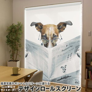 1cmPʃTCYI[_[ [XN[ [J[e I[_[Ch ^`J { Ԏd؂ J[e ̌ Ռ ډB UVJbg J[e[ `F[ v 007706 Aj} 