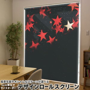 1cmPʃTCYI[_[ [XN[ [J[e I[_[Ch ^`J { Ԏd؂ J[e ̌ Ռ ډB UVJbg J[e[ `F[ v 008722 N[ 