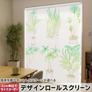 1cmPʃTCYI[_[ [XN[ [J[e I[_[Ch ^`J { Ԏd؂ J[e ̌ Ռ ډB UVJbg J[e[ `F[ v 009387 A@