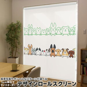 1cmPʃTCYI[_[ [XN[ [J[e I[_[Ch ^`J { Ԏd؂ J[e ̌ Ռ ډB UVJbg J[e[ `F[ v 009565 @L@